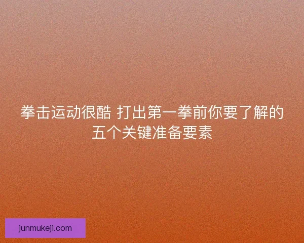 拳击运动很酷 打出第一拳前你要了解的五个关键准备要素