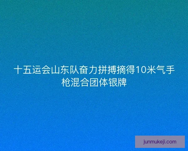 十五运会山东队奋力拼搏摘得10米气手枪混合团体银牌