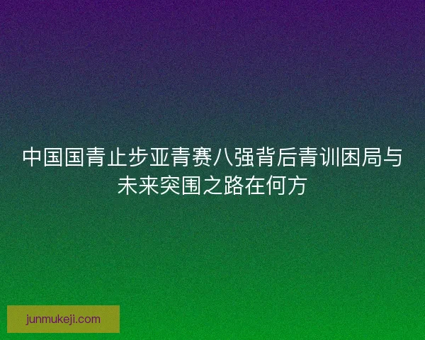 中国国青止步亚青赛八强背后青训困局与未来突围之路在何方